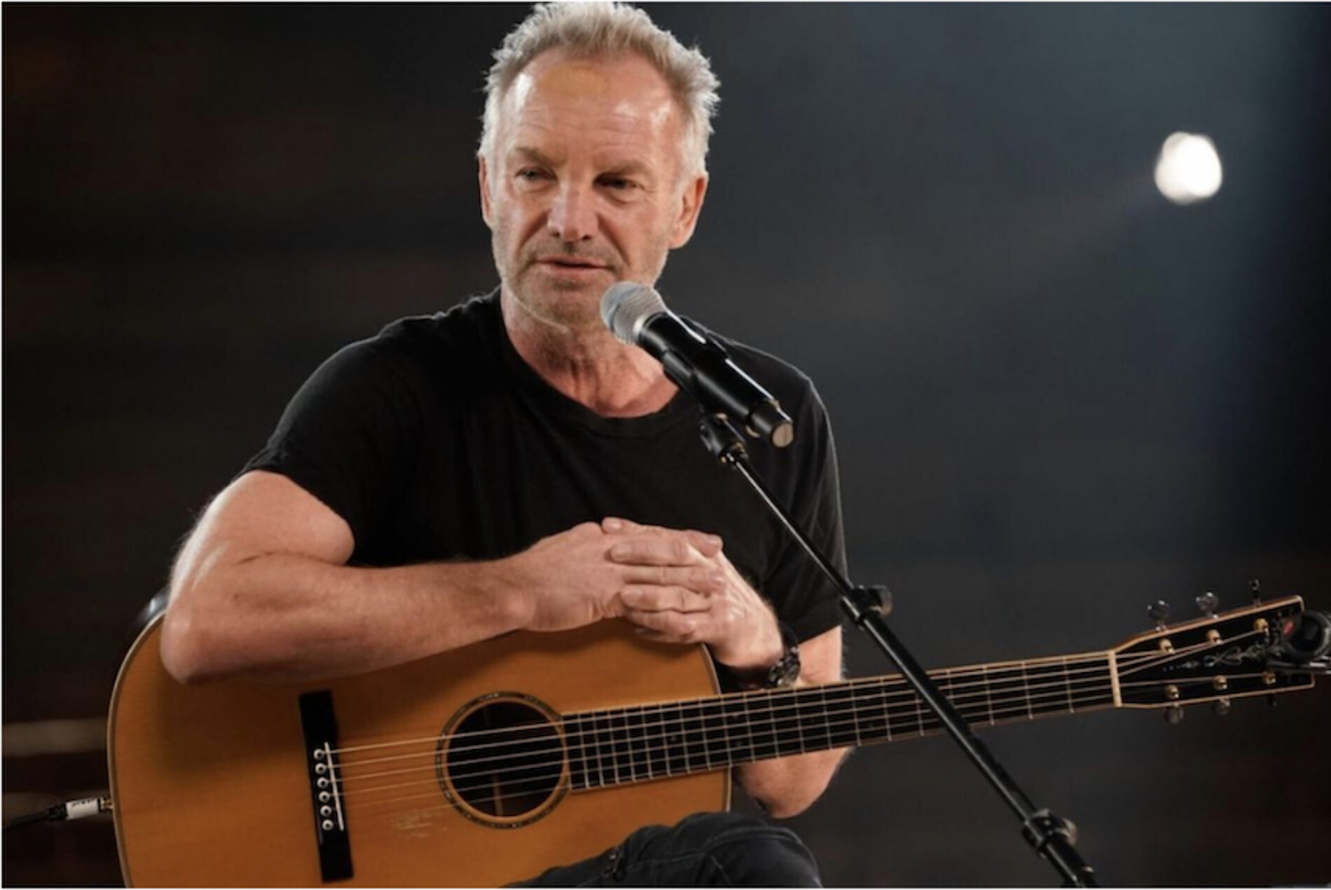 Sting muestra “El cerebro musical” por la pantalla de Film&Arts