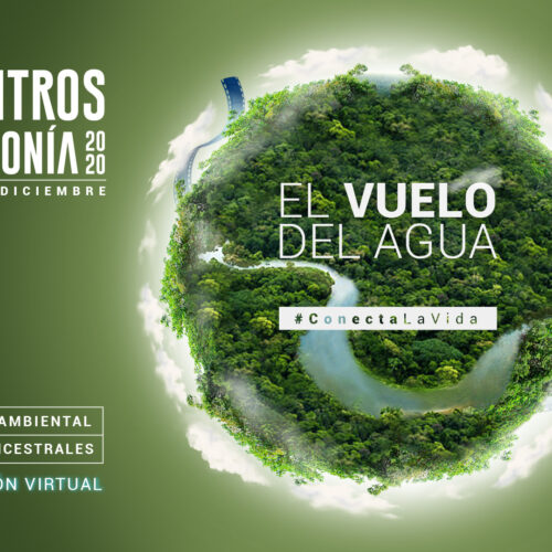 FICAMAZONÍA, un campus virtual gratuito que nos transporta a la selva amazónica