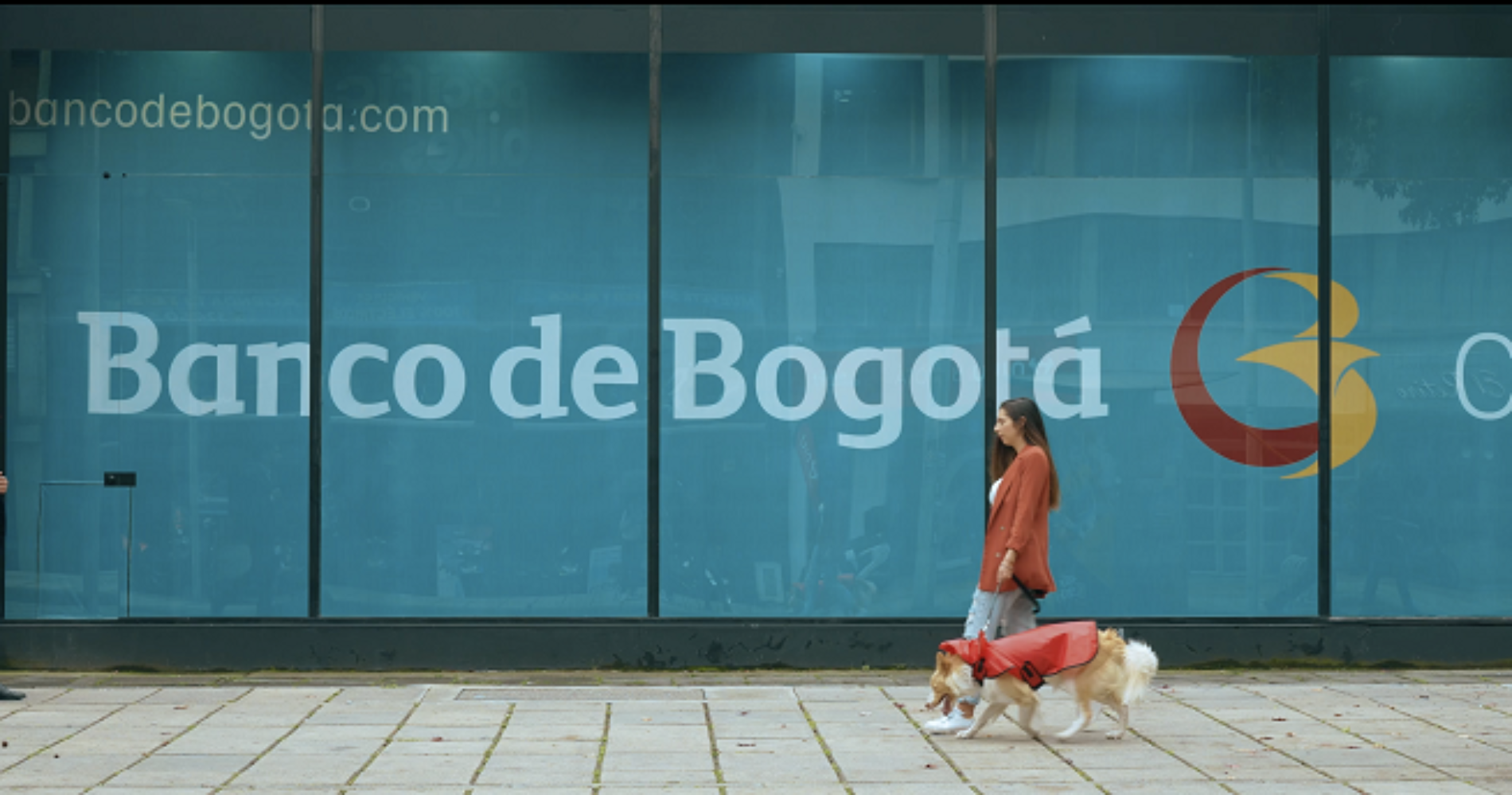 Banco de Bogotá inicia piloto para que los clientes puedan ir a las oficinas acompañados de sus mascotas