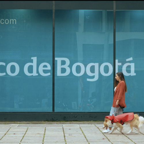 Banco de Bogotá inicia piloto para que los clientes puedan ir a las oficinas acompañados de sus mascotas