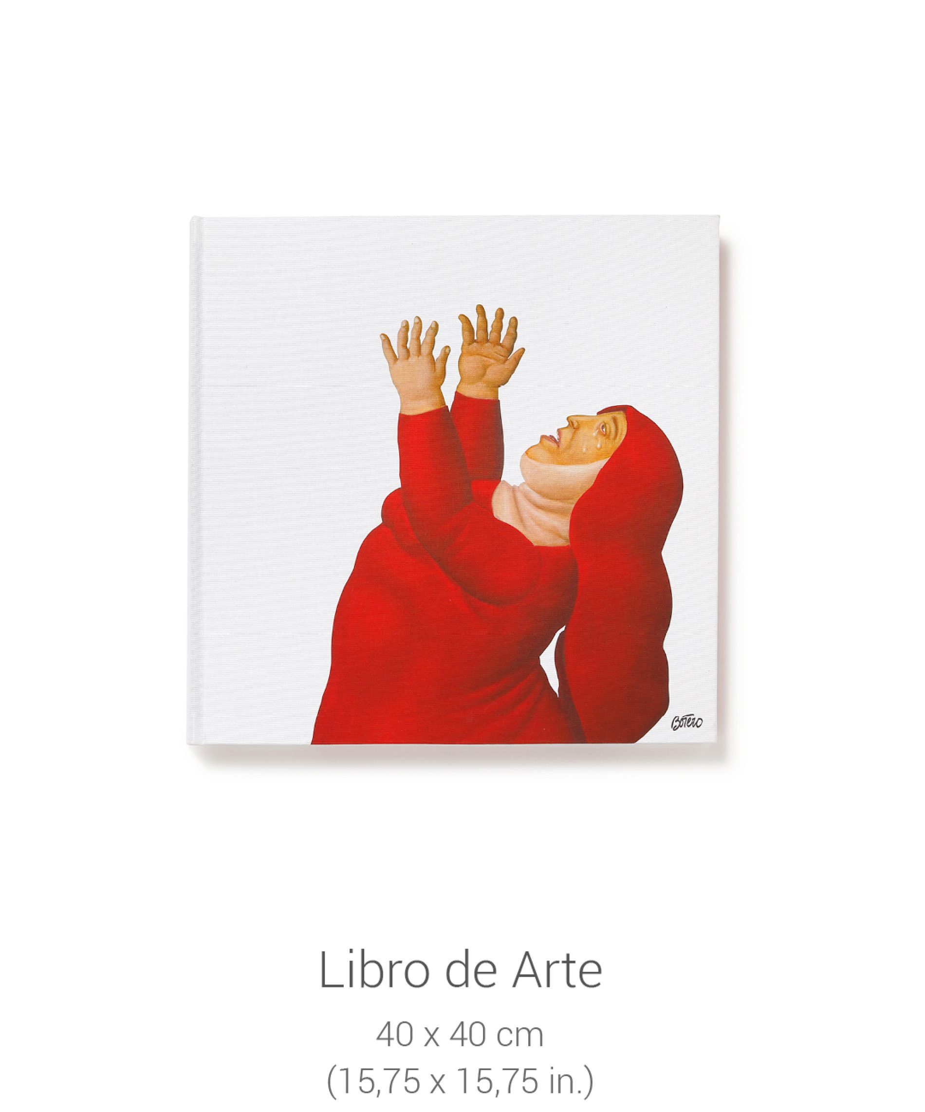 Presentan nuevo libro del Maestro Fernando Botero en su natal Colombia