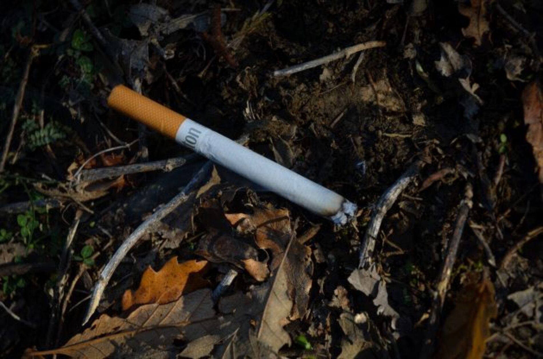 Estudio revela que dejar de fumar antes de los 35 años podría disminuir la mortalidad por esta causa