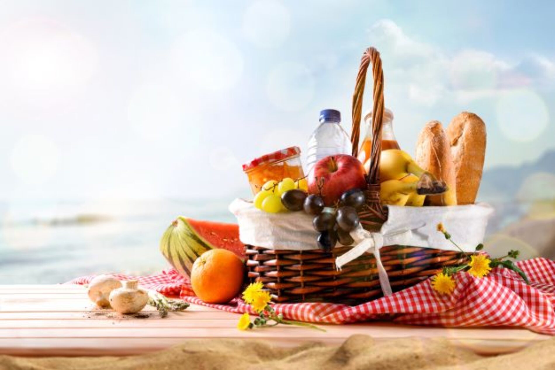 Guía completa para un día de picnic más divertido y saludable
