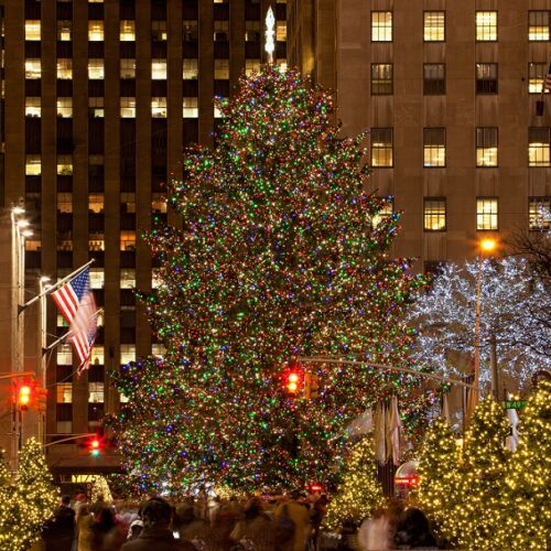 Descubra los árboles de Navidad más emblemáticos del mundo 