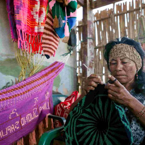 Junna «Manglar rojo” el emprendimiento de la comunidad indígena Kalapuipa