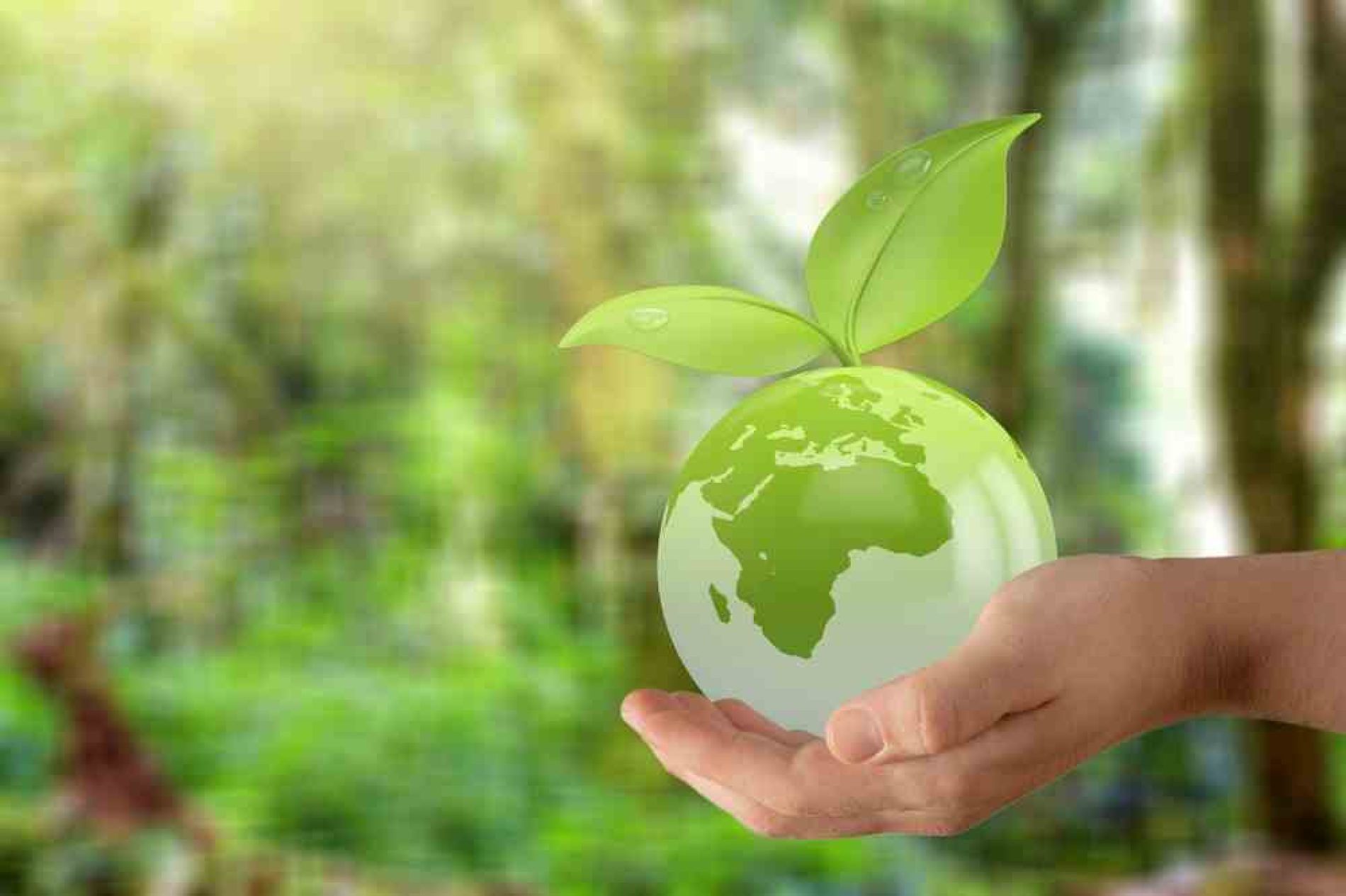 Herbalife tiene un compromiso con el cuidado del planeta