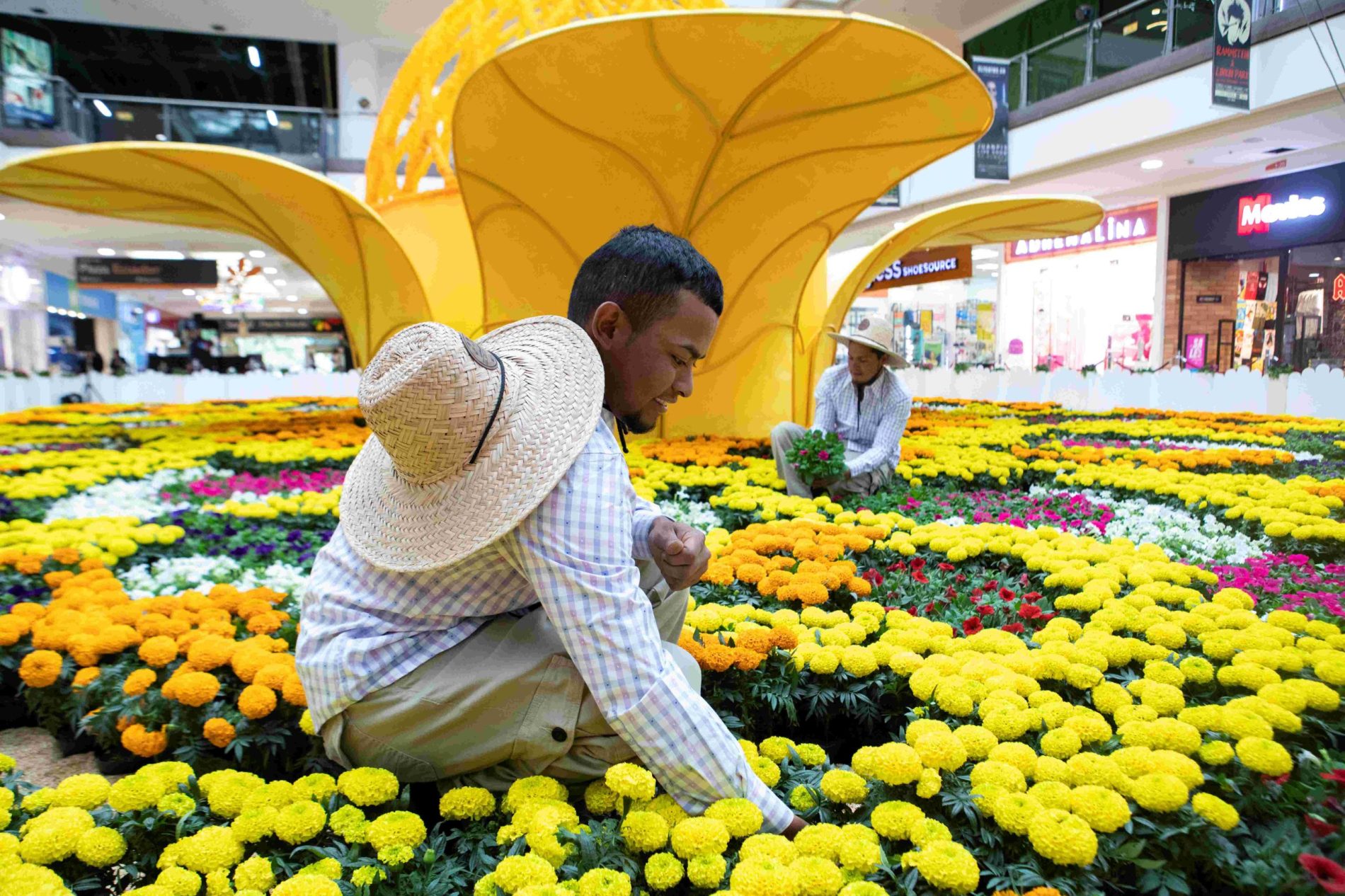 50.000 flores adornarán el Jardín del Encanto del Centro Comercial Santafé