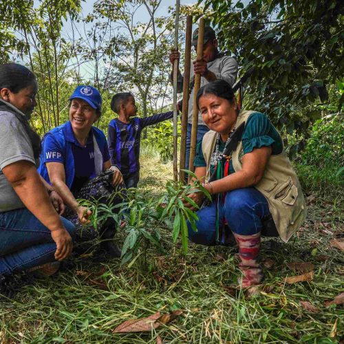 Herbalife y la Fundación Familia Herbalife comprometen 1 millón de dólares al Programa de Alimentos Mundial de EE.UU. que beneficia a los agronegocios dirigidos por mujeres en Colombia