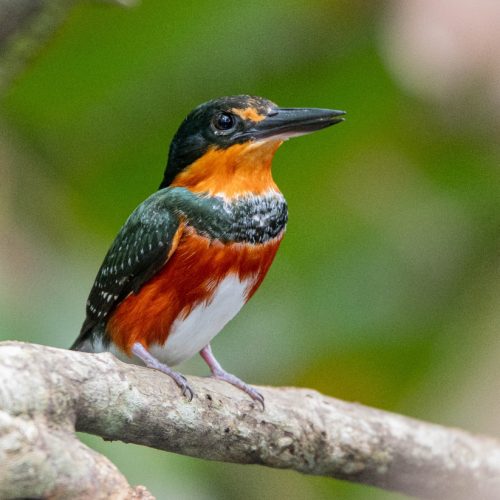 Turismo de naturaleza en Vitrina Turística de Anato 2025