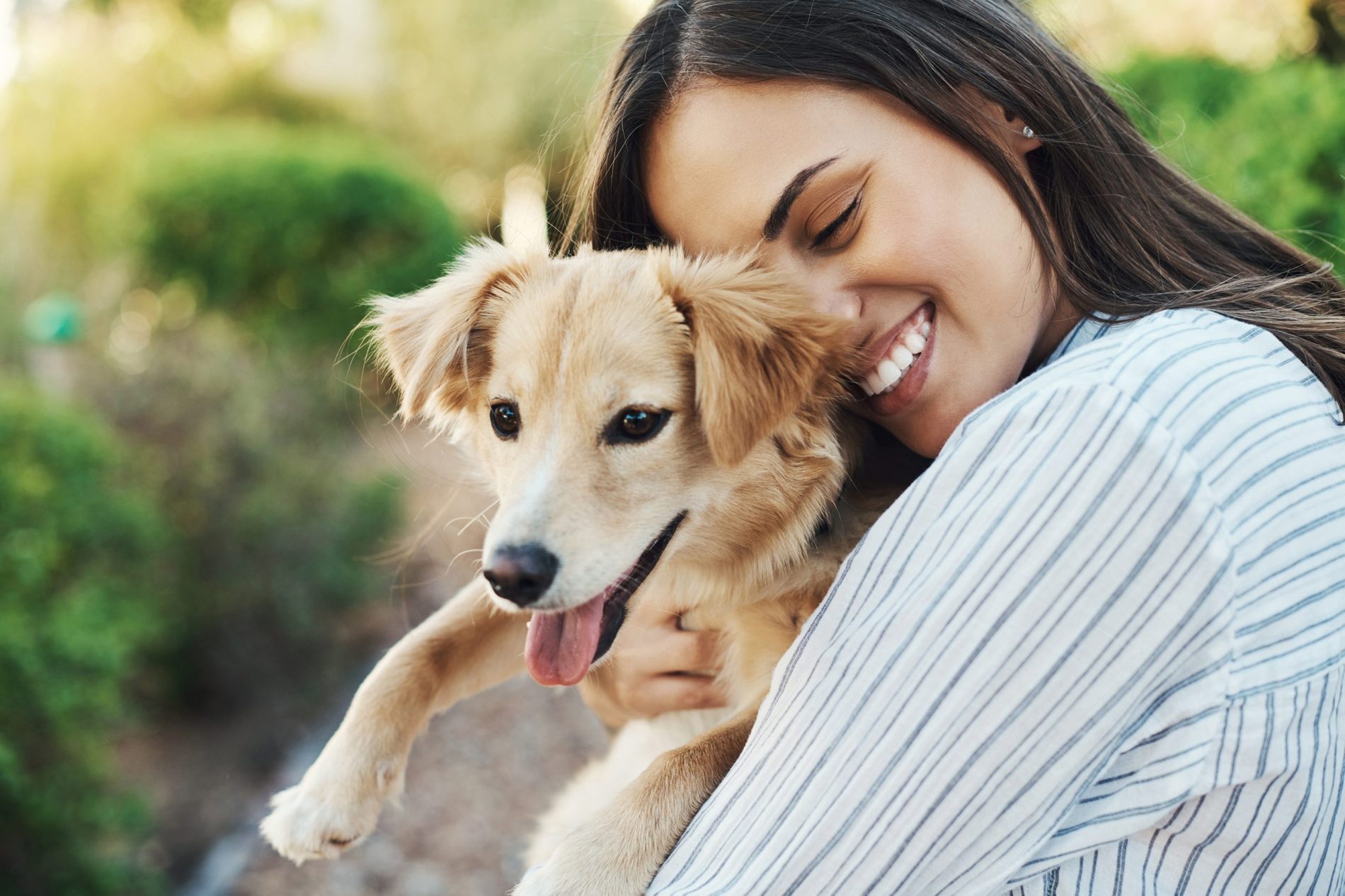 Este fin de semana, adopta una mascota en Plaza Central