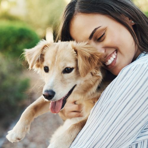 Este fin de semana, adopta una mascota en Plaza Central