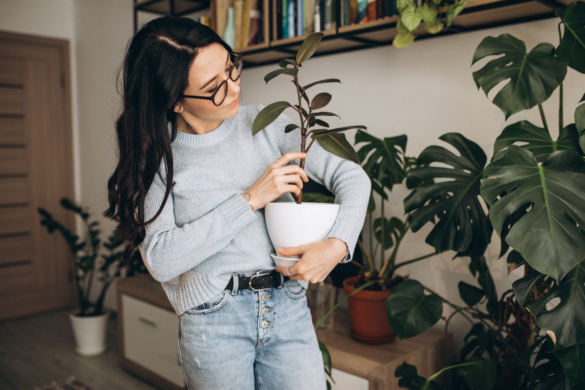 El arte de elegir plantas según tu profesión: decoración y expresión