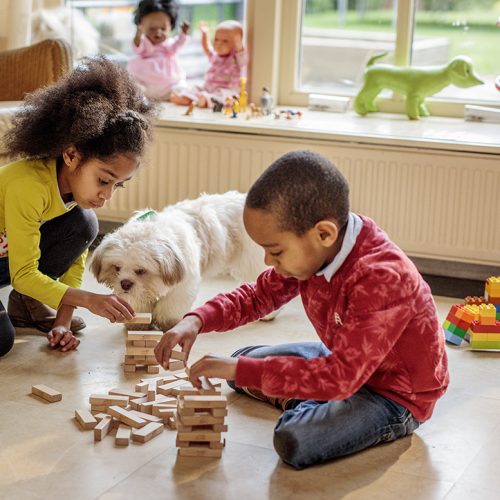 Los mejores consejos para mantener a tu cachorro saludable