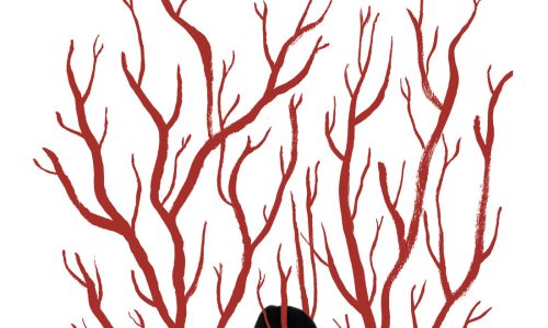 Los libros más vendidos en Colombia en el primer trimestre del 2025