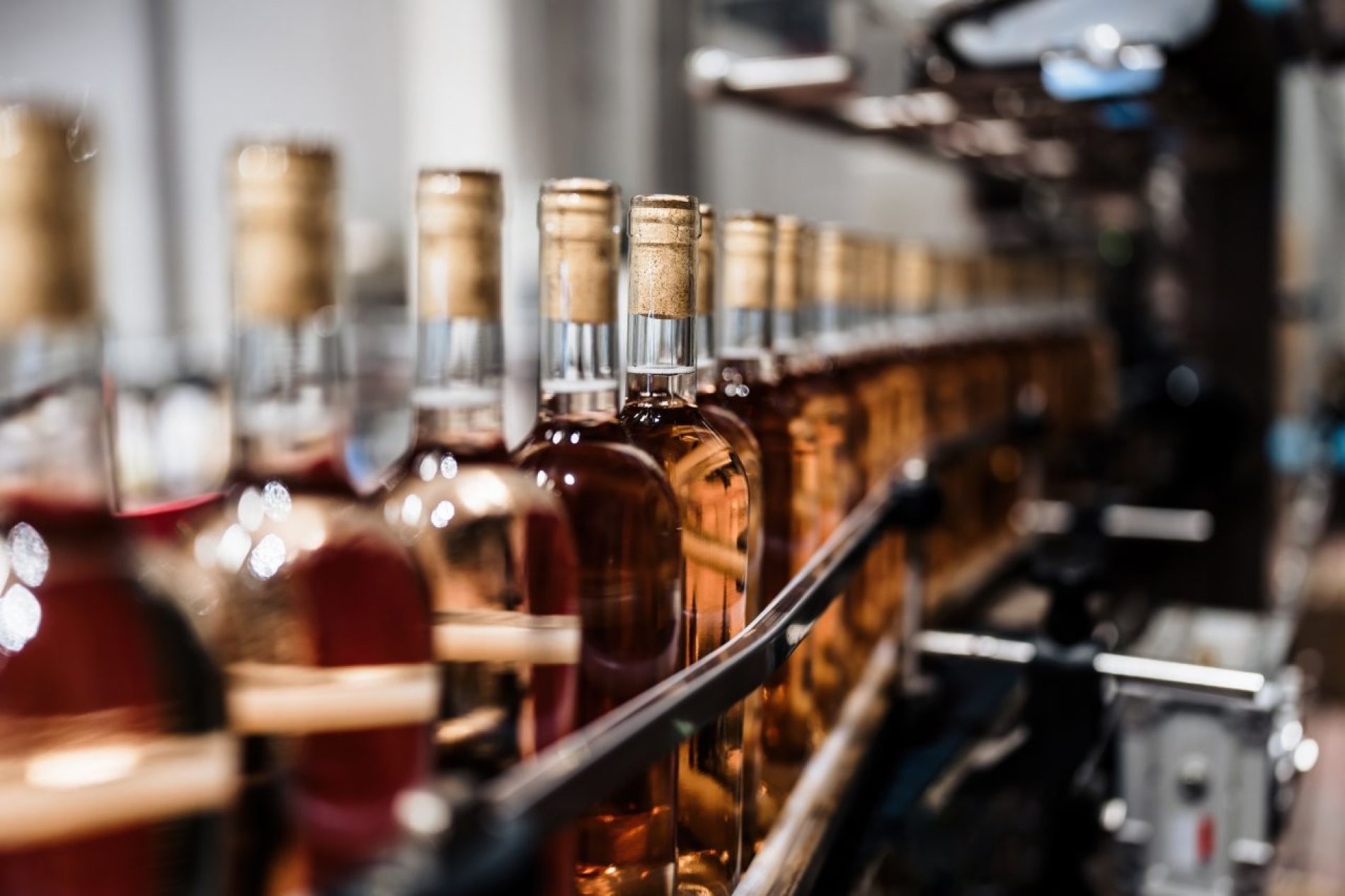 DHL potencia el sector de vino y licores en Colombia con soluciones logísticas especializadas de principio a fin
