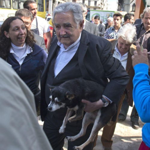 Pepe Mujica y su perra Manuela: La integrante más fiel que tuvo en el gobierno