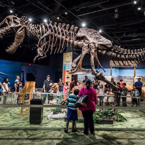 Arte, historia y ciencia: las joyas culturales de Orlando que no te puedes perder
