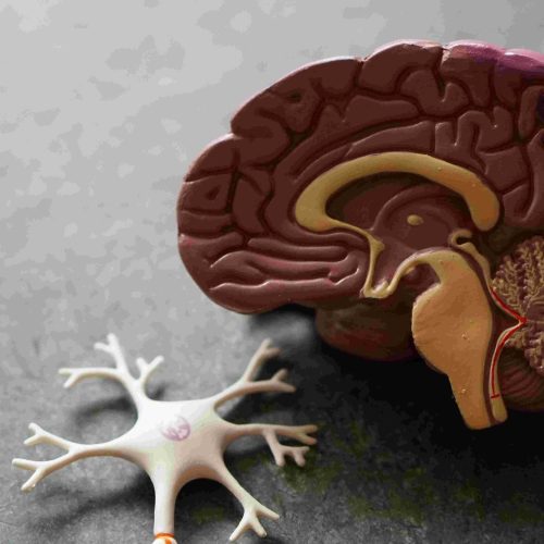 Tu cerebro nunca descansa: así puedes cuidarlo
