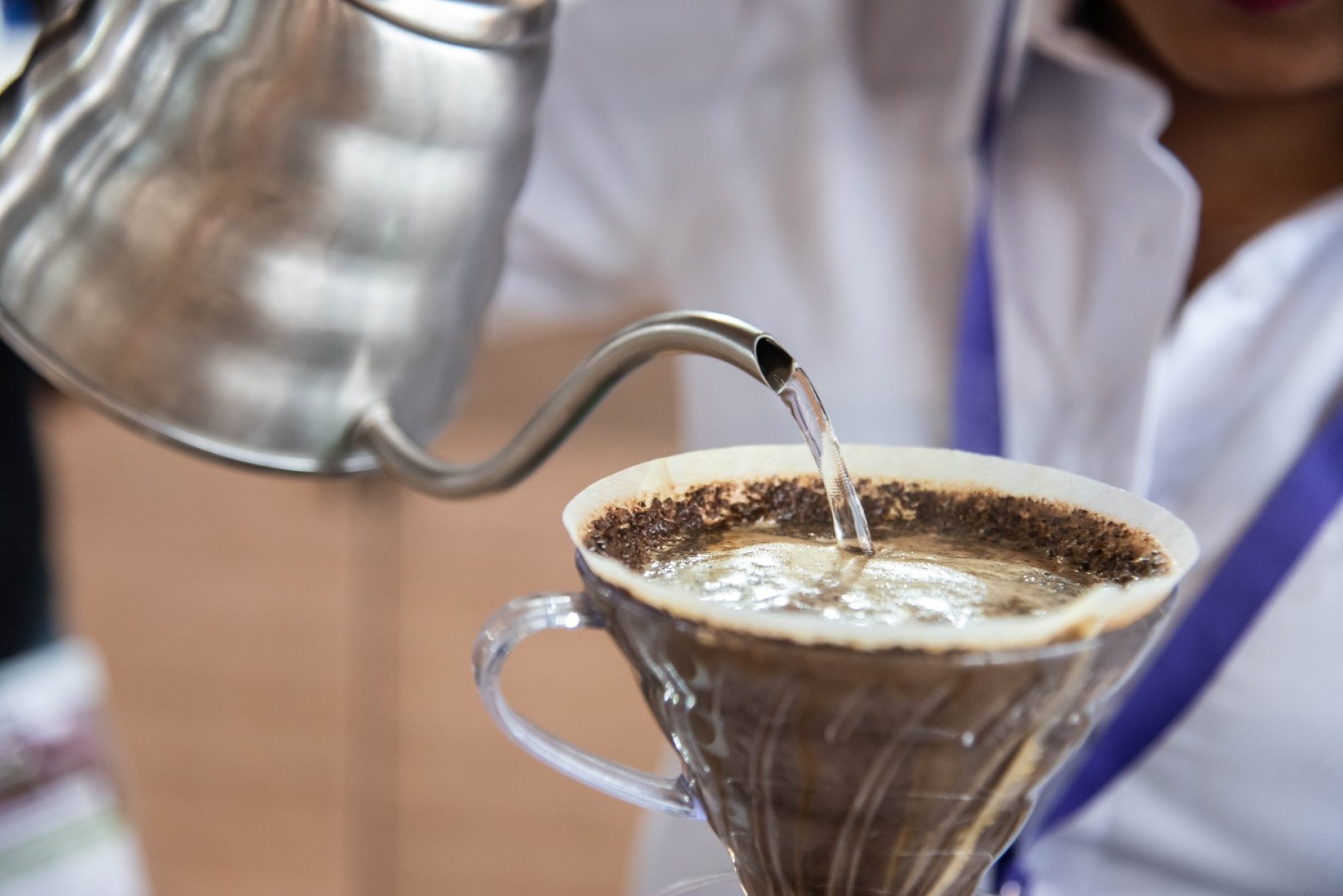 Colombia busca a sus campeones del café: competirán en Cafés de Colombia Expo