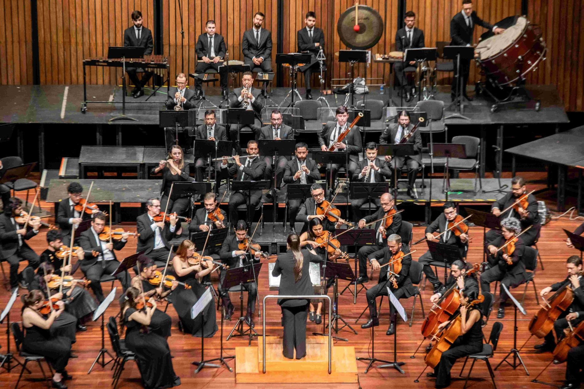 “Danzas del renacer: un concierto donde lo mítico despierta”