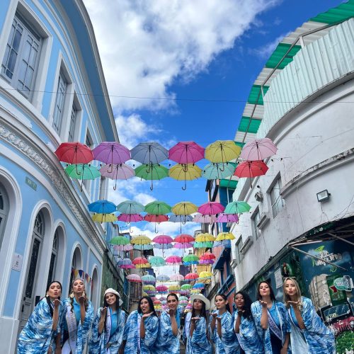 Festival Distrital Bacatá 2025