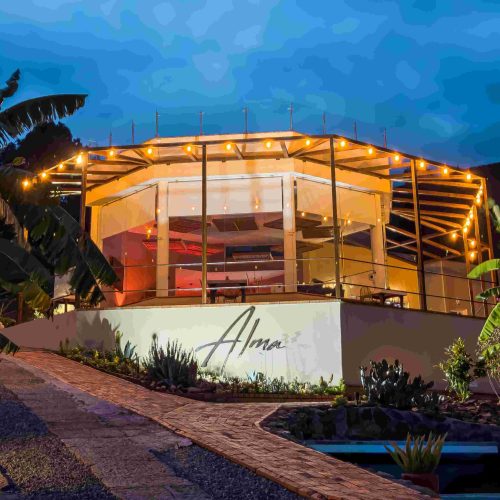 HOTEL ALMA: UNA EXPERIENCIA DE PLENITUD Y GOCE