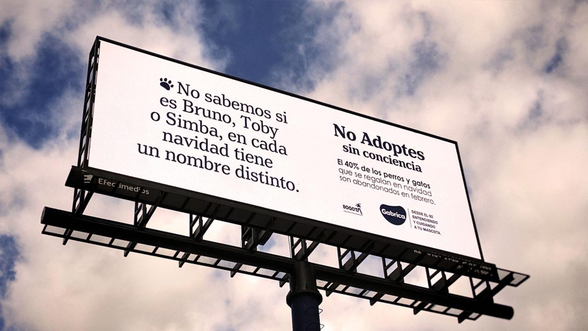 “No adoptes sin conciencia”: campaña de Gabrica para reducir el abandono de mascotas después de Navidad